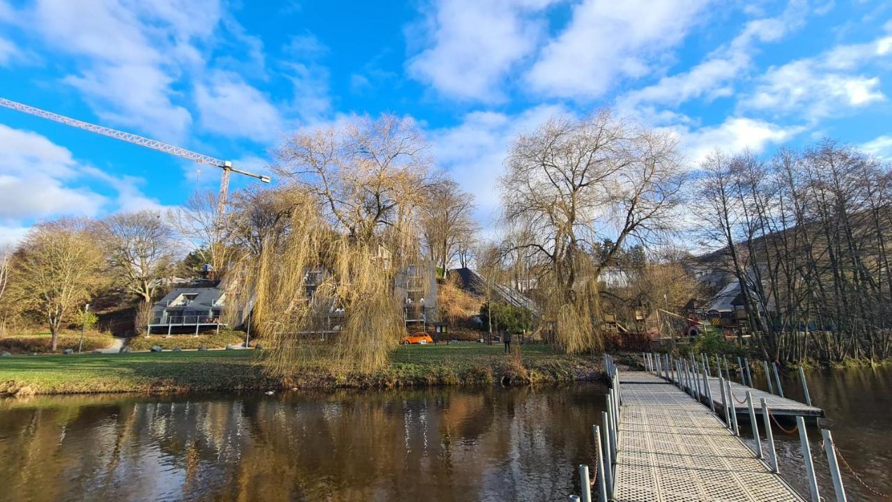 Le Salmoyard, Studio Au Bord Du Lac A Vielsalm Eksteriør bilde