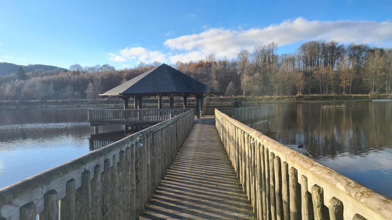 Le Salmoyard, Studio Au Bord Du Lac A Vielsalm Eksteriør bilde